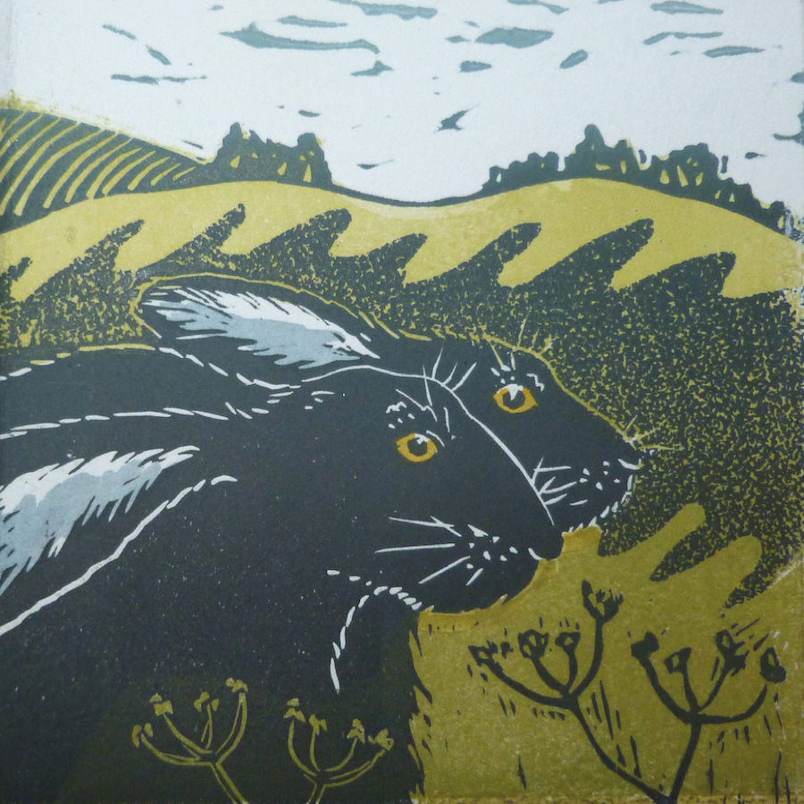 Two hares © Louise Scammell 2015