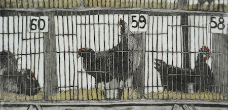 Prize Chickens, Totnes Show
